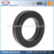 Rings Shape Ferrite Magnet Usado Professonal Speaker And Audio